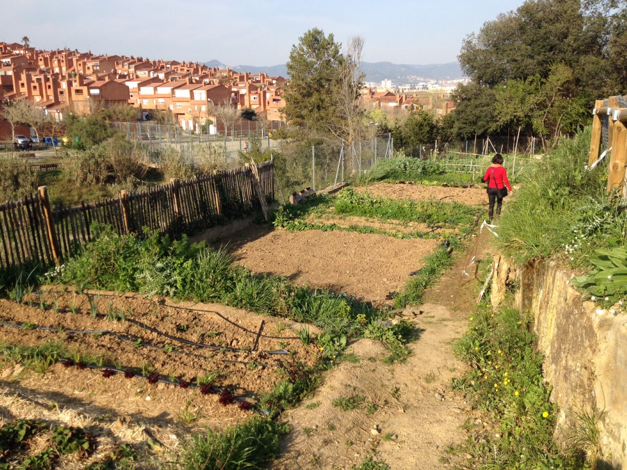 MADRE project - urban agriculture in the surrounding of Barcelona