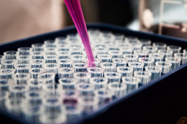 A pipette filling test tubes with pink fluid