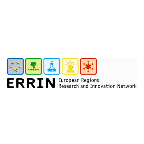 ERRIN early logo