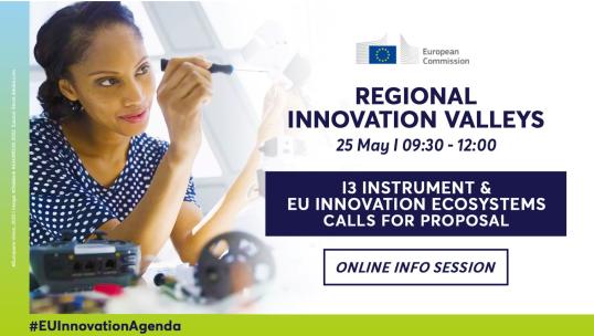 Regional Innovation Valleys calls for proposal online info session