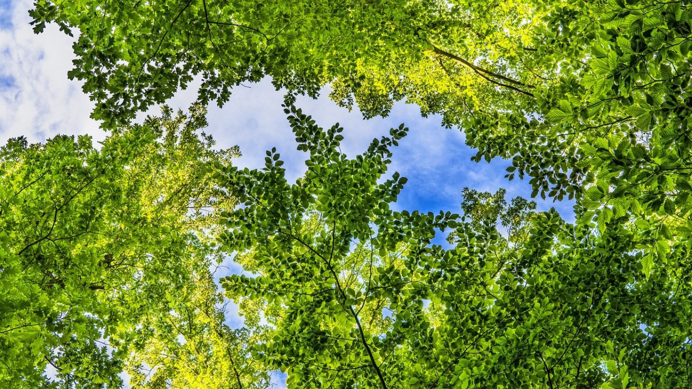 Climate Adaptation & Resilience WG meeting: Innovative Climate Adaptation Solutions: From Local Practices to Future EU Funding