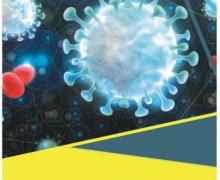 Innovation in Flanders to combat the SARS-COV-2 virus or its derived effects