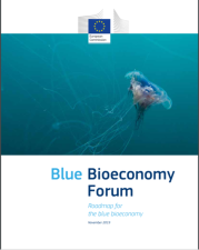 Blue Bioeconomy Forum roadmap