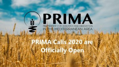 prima calls