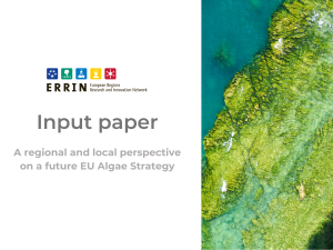 ERRIN input paper on a future EU Algae Strategy