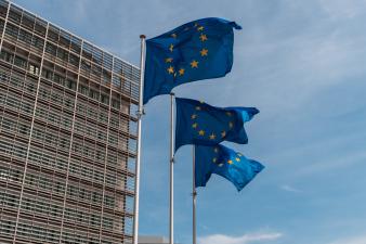 Policy WG logo - European flags outside the Berlaymont