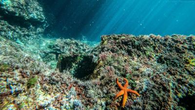 Public consultation on protecting the marine environment