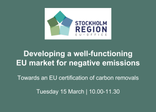 Developing a well-functioning EU market for negative emissions 