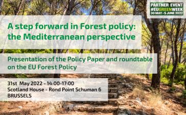 A step forward in Forest Policy: the Mediterranean perspective