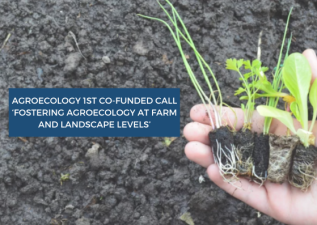 The first call of the Agroecology Partnership is now open