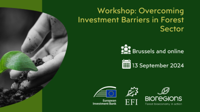 Overcoming investment barriers in the forest sector 