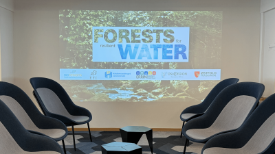 Forests for Resilient Water visual + Empty chairs in the front