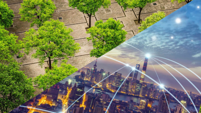 Survey: Share your views on the role of regions in climate mitigation and adaptation 