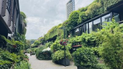 Green neighbourgood in Eindhoven