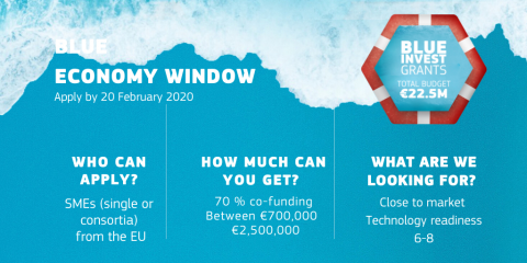 The poster for the Blue Economy Window call