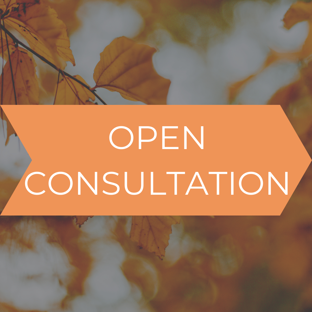 Open consultation