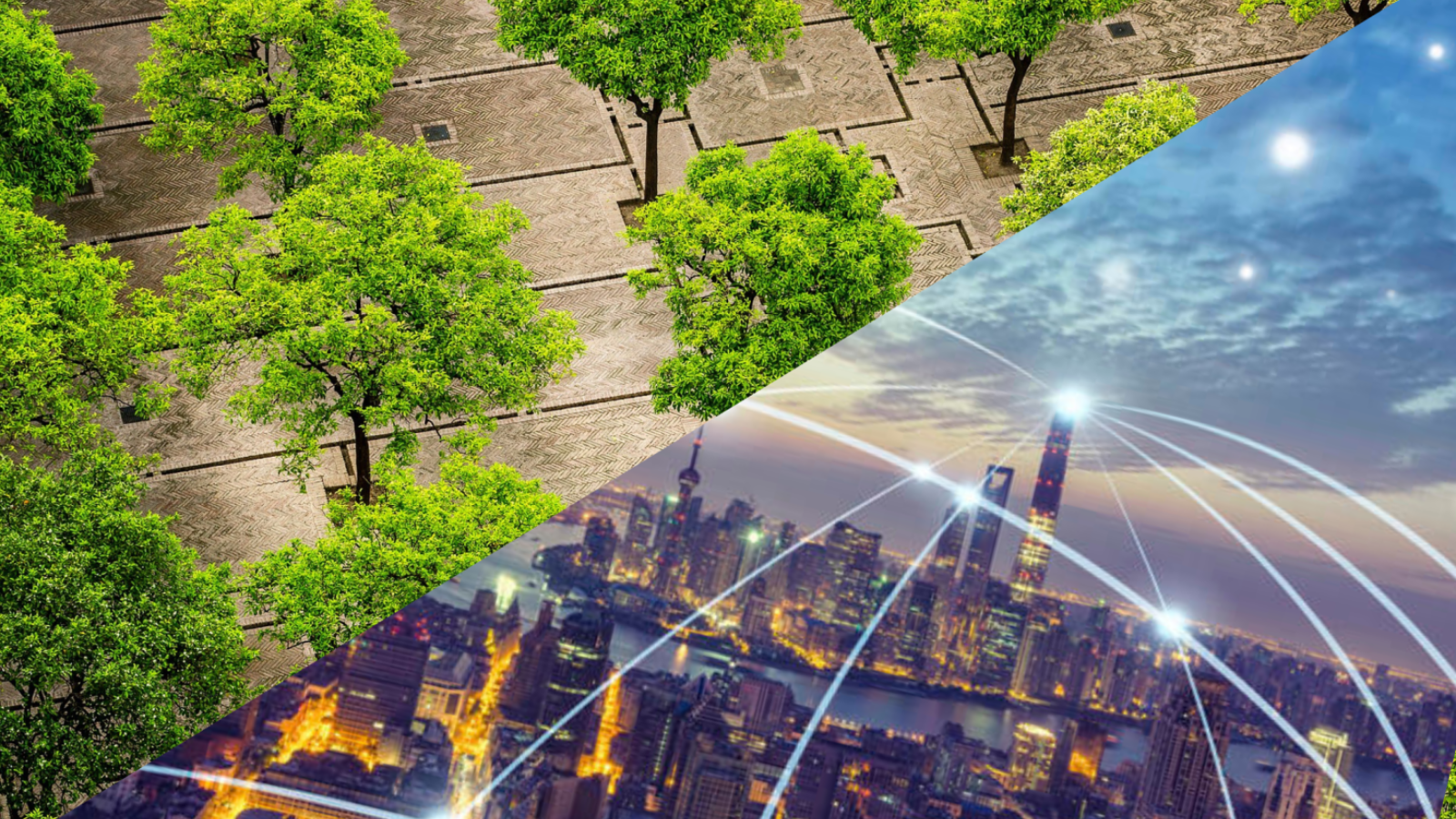 Survey: Share your views on the role of regions in climate mitigation and adaptation 